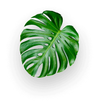 lumora-eclat-ame-alchimiste-communication-animale-coach-energeticienne-blocage-emotionnel-bordeaux-accompagnement-energetique-saint-symphorien-gironde